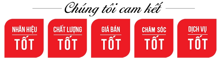 Cam kết dịch vụ khách hàng của Máy cứu ngải