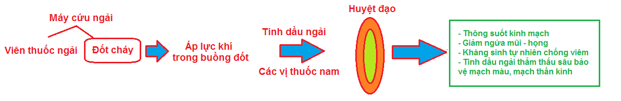 Cơ chế hoạt động của máy cứu ngải